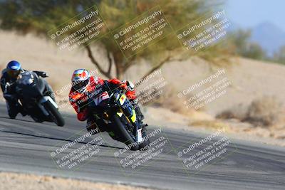 media/Jan-14-2024-SoCal Trackdays (Sun) [[2e55ec21a6]]/Turn 4 Tree of Life (155pm)/